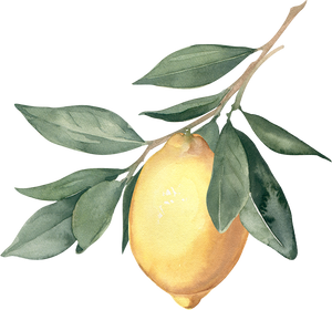 Watercolor Lemon Branch